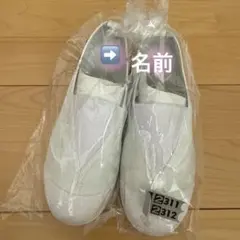 Item thumbnail for item be0a64b9-1a57-49b5-a7de-0ed64e9a42a5