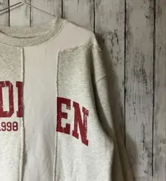 【美品】OGDEN ビッグプリント クレイジーパターン アシメカレッジスウェット