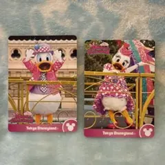 ミニーのファンダーランド コレクションカード ドナデジ セット