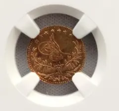 千*可様 AH1327//9 オスマン・トルコ帝国 100クルシュ 金貨 NGC - メルカリ