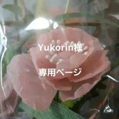 Item thumbnail for item d73e80f9-d39b-4ec1-8592-b82992ab27a4