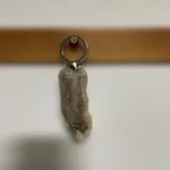 ラビットフットキーホルダー【USA輸入品】【剥製】