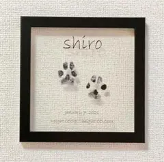 Item thumbnail for item fd1c97ed-f85a-4750-8077-15bfa30576c0