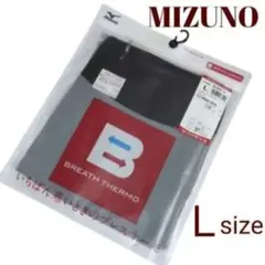 Item thumbnail for item acc36c7d-6b77-4a9e-98d6-7282cd9e9aa1