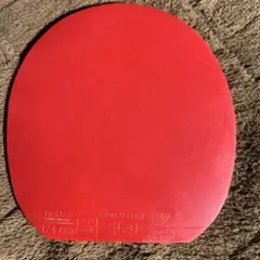 EVOLUTION ELーD & DNA PLATINUM