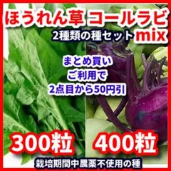 ほうれん草＆コールラビmixの種セットのサムネイル