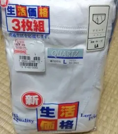 ノーブランド□ブリーフ パンツ メンズ 合計3枚 Lサイズ