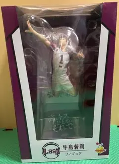 ハイキュー‼︎ ハッピーくじ　ラストワン賞　牛島若利