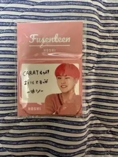 SEVENTEEN Fusenteen ホシ