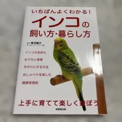 Item thumbnail for item f23c2036-3775-4d4e-bea9-e9f27cb4c4bd