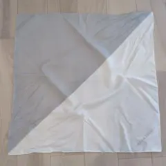 Item thumbnail for item 1f43baf7-41af-4463-8770-e72255943c88