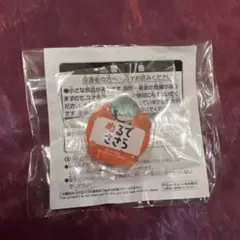 ヒプノシスマイク ヒプマイ ちびぐるみポーズ おなまえアクリルバッジ 白膠木簓