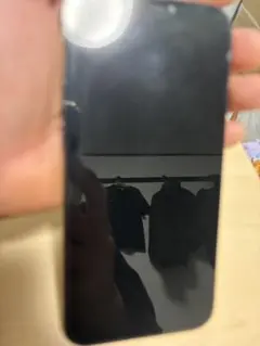 Apple iPhone 12 ProMax