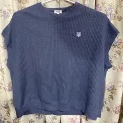 Item thumbnail for item 4bf6e2e9-c902-4f5b-b227-258dbf18a389