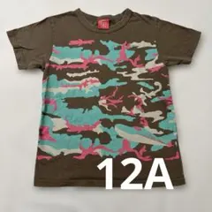 オジコ　新幹線　ハヤブサ　Tシャツのサムネイル