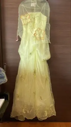 mizutanさん専用⭐︎美品！ピアノ発表会用ドレス 青い鳥ドレス専門店