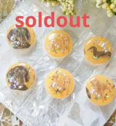 犬のボタン☆6個 i-20 再販/ミニチュアダックス/ボタン/カボション