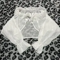 Item thumbnail for item a5763d46-2fca-4e2d-bdcf-d38507a1d38e