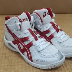 (24.5)アシックス バッシュー