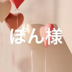 ぽん様 専用ページです ‎♡⃛ ̖́-