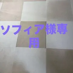 ソフィア様専用⭐︎静床プレミア32枚ミルクホワイト16枚ピーナッツアイボリー16枚