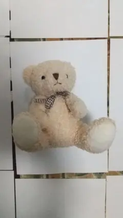 【8/21(金)まで出品】テディベア ぬいぐるみ ベージュ チェック柄リボンのサムネイル