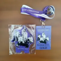 バックストリート・ボーイズ DNAワールドツアー ゴールドパス　アクリルスタンド