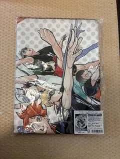 Item thumbnail for item 804ee38b-d5d9-45cc-886d-a3253afe1895