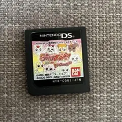 プリキュア5GOGO! DSカセット