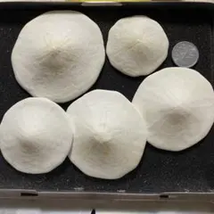 umihone様 リクエスト 3点 まとめ商品