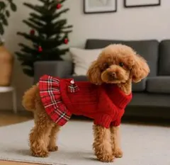 ちはる様 リクエスト 2点 まとめ商品