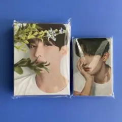 SEVENTEEN DK ドギョム トレカ
