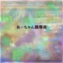 あーちゃん様専用