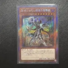2026年最新】聖域に仕えし練達の魔導師の人気アイテム - メルカリ