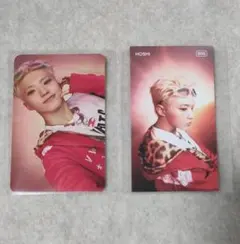 BSS TELEPARTY ホシ トレカ IDカード