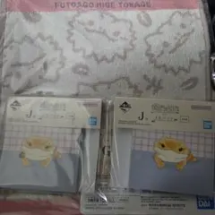 爬虫類 一番くじ フトアゴヒゲトカゲ