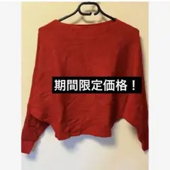 期間限定！トップス　ニット　セーター　横リブ編み　ドルマンスリーブ　ボートネック