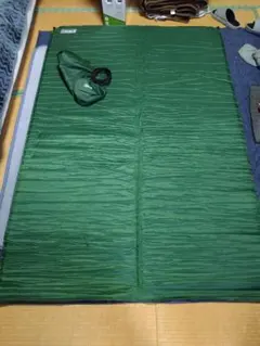 Item thumbnail for item 9de6d66b-f42d-46a5-9220-418bd9820b6c