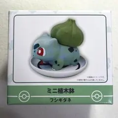 ポケモン ミニ植木鉢 フシギダネ