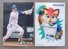 郡司裕也　パーカー 2026年最新】30郡司裕也の人気アイテム - メルカリ