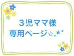 ３児ママ様専用ページ✩.*˚