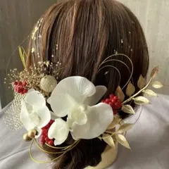 《水引金箔付》赤い実と胡蝶蘭髪飾り♡成人式 卒業式　袴　和装　結婚式　振袖前撮り