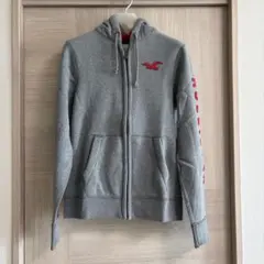 【美品】HOLLISTER パーカー