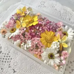No.199 小花のドライフラワーセット