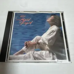 2025年最新】石川優子 スチューピッド・キューピッドの人気