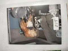 【015】X JAPAN FILM GIG トレカ