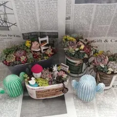 【不定期☆超お買い得セット】そのまま飾れる多肉植物の寄せ植え&雑貨6点セット