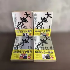 Item thumbnail for item 95fc7ac8-0e55-4ccf-b5c0-31afbc412222