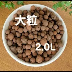 まゆみん様専用新品JONGKIND ハイドロボール大粒2.0L