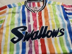 東京ヤクルトスワローズ レディースデー レインボー